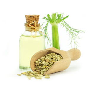 Sweet Fennel Oil