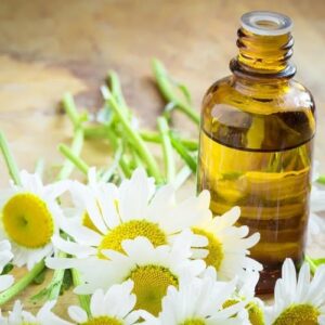 German Chamomile Oil